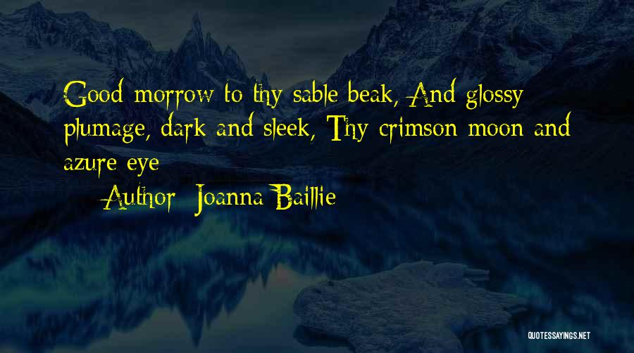 Moon Eye Quotes By Joanna Baillie