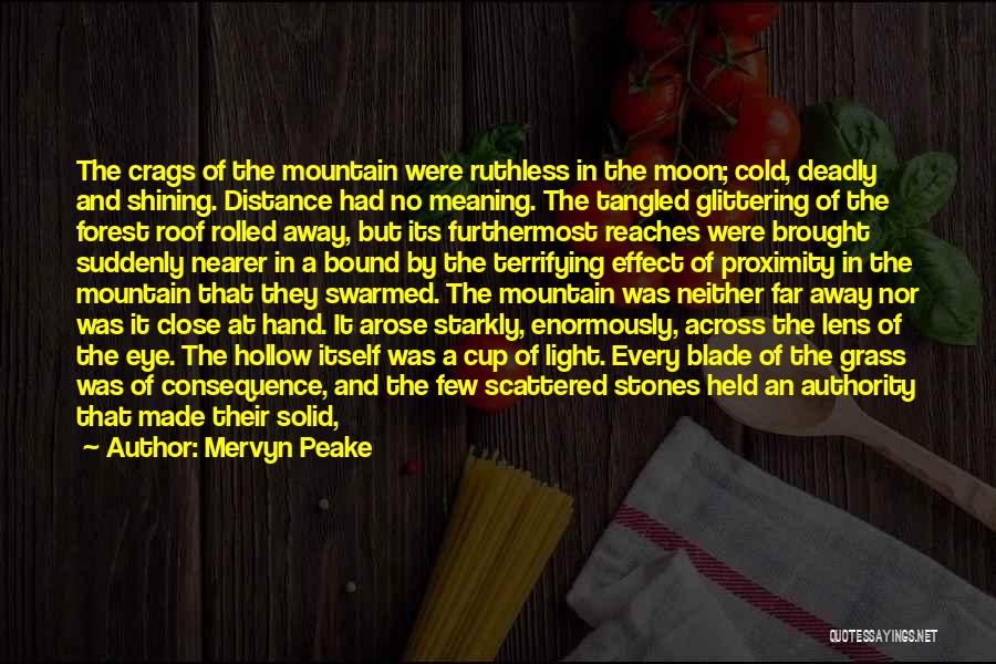 Moon Eye Quotes By Mervyn Peake