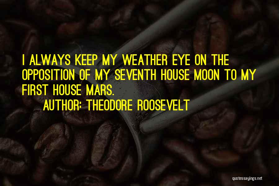 Moon Eye Quotes By Theodore Roosevelt