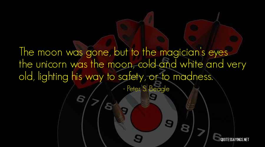 Moon Eyes Quotes By Peter S. Beagle Moon Eyes Quotes By Peter S. Beagle