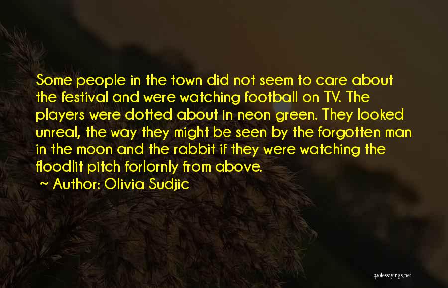 Moon Festival Quotes By Olivia Sudjic