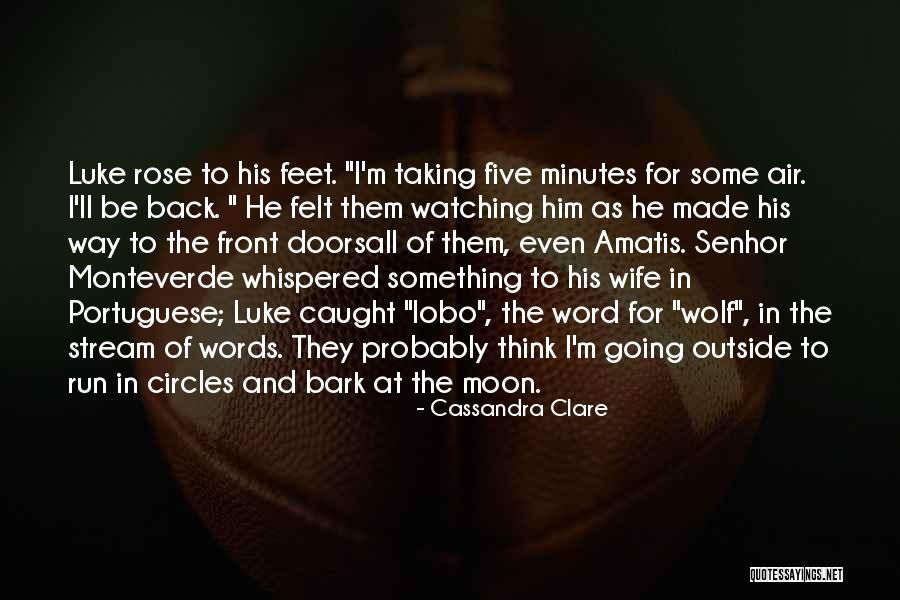 Moon Glass Quotes By Cassandra Clare Moon Glass Quotes By Cassandra Clare