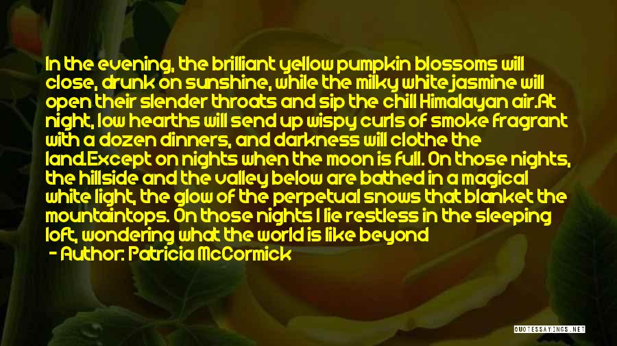 Moon Glow Quotes By Patricia McCormick