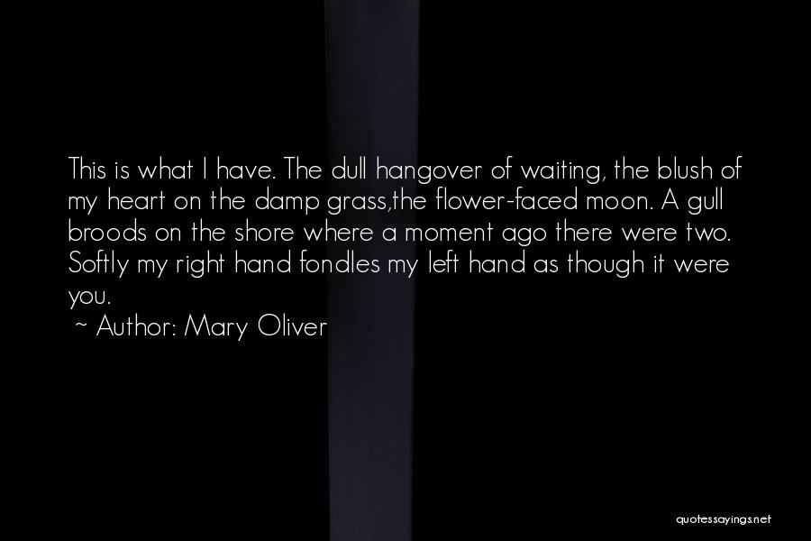 Moon N Love Quotes By Mary Oliver Moon N Love Quotes By Mary Oliver