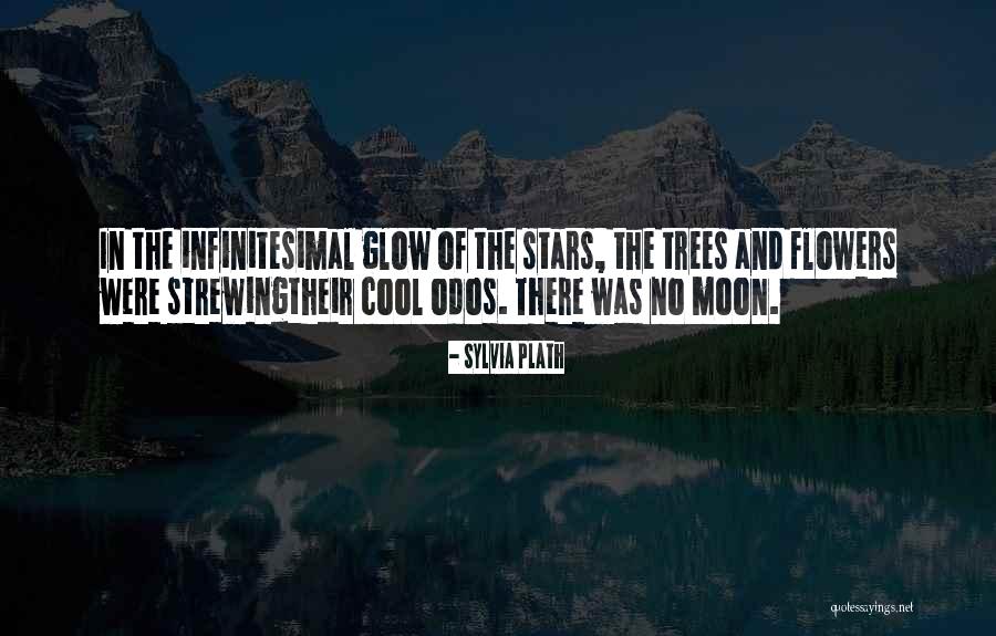 Moon N Stars Quotes By Sylvia Plath Moon N Stars Quotes By Sylvia Plath