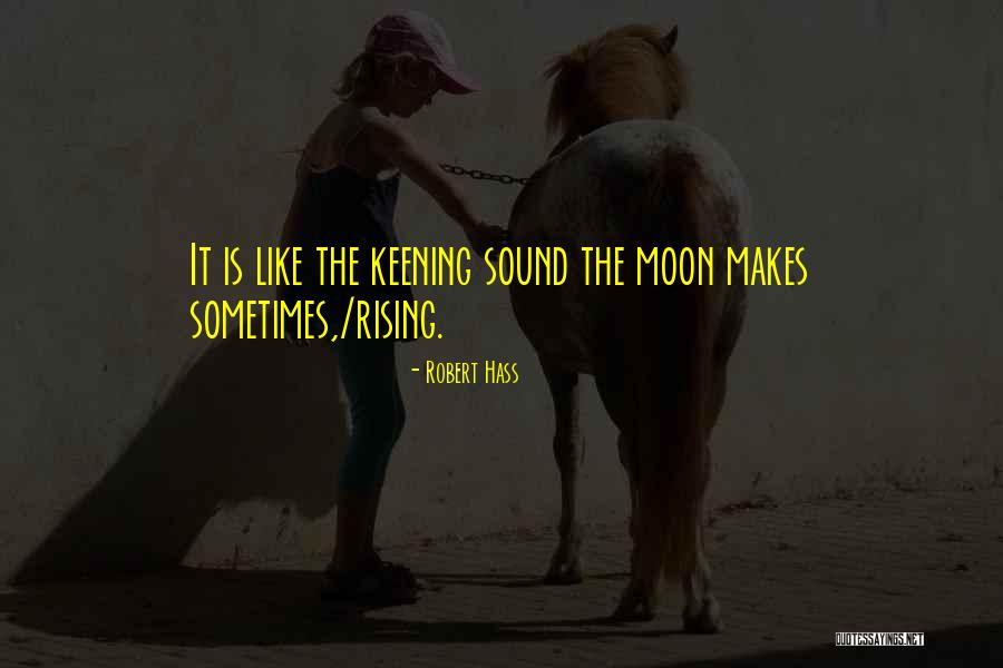 Moon Rising Quotes By Robert Hass