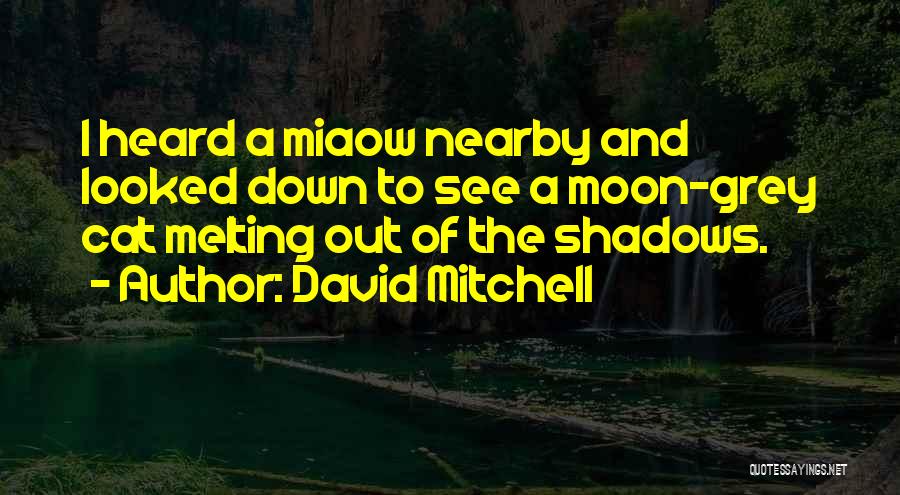 Moon Shadows Quotes By David Mitchell