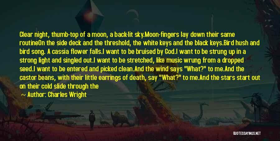 Moon Song Quotes By Charles Wright