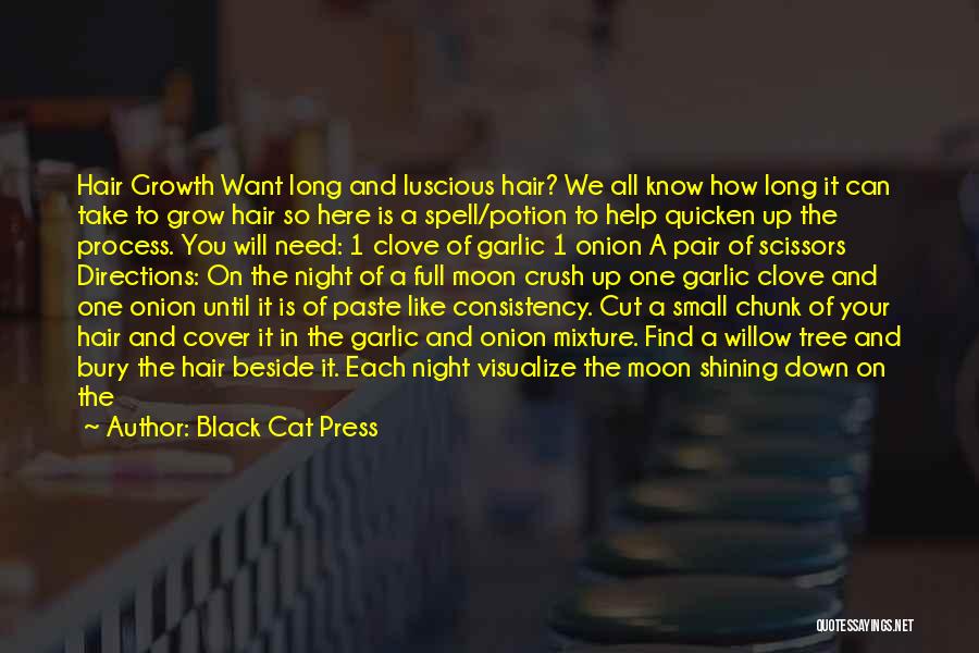 Moon Spell Quotes By Black Cat Press