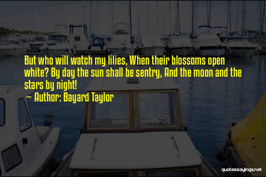 Moon Stars Night Quotes By Bayard Taylor