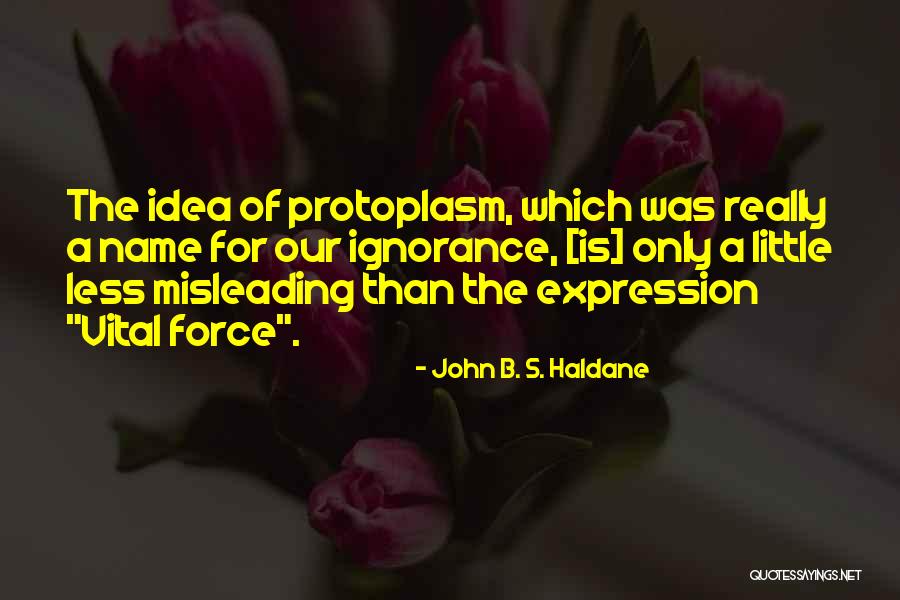Moonbeam Baby Quotes By John B. S. Haldane Moonbeam Baby Quotes By John B. S. Haldane