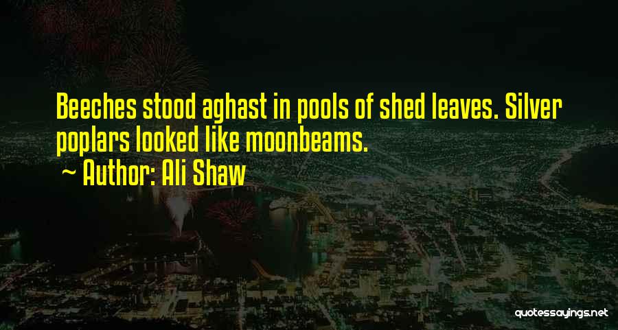 Moonbeams Quotes By Ali Shaw