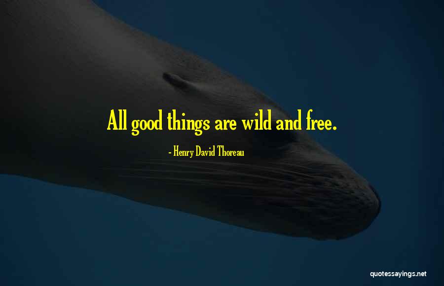 Mooneyhan Transmission Quotes By Henry David Thoreau Mooneyhan Transmission Quotes By Henry David Thoreau
