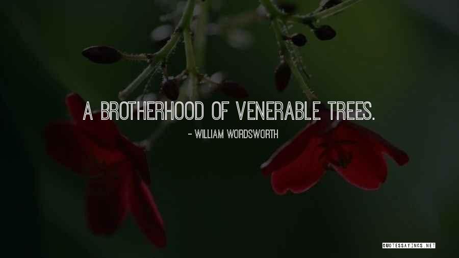 Mooneyhan Transmission Quotes By William Wordsworth Mooneyhan Transmission Quotes By William Wordsworth