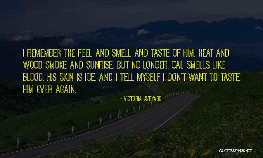 Moongirl Laika Quotes By Victoria Aveyard Moongirl Laika Quotes By Victoria Aveyard