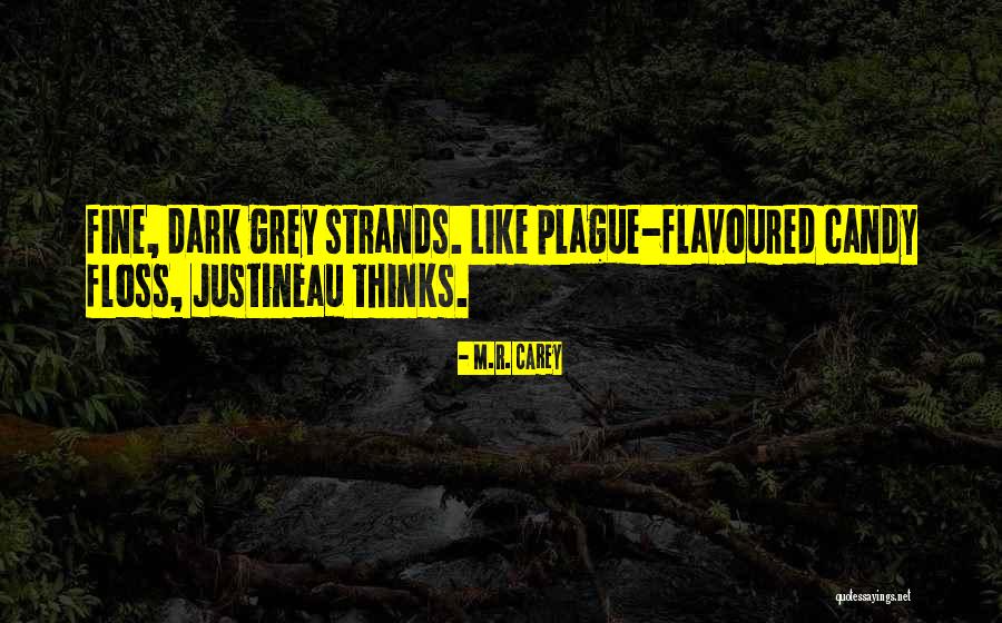 Moonies Bbq Quotes By M.R. Carey Moonies Bbq Quotes By M.R. Carey