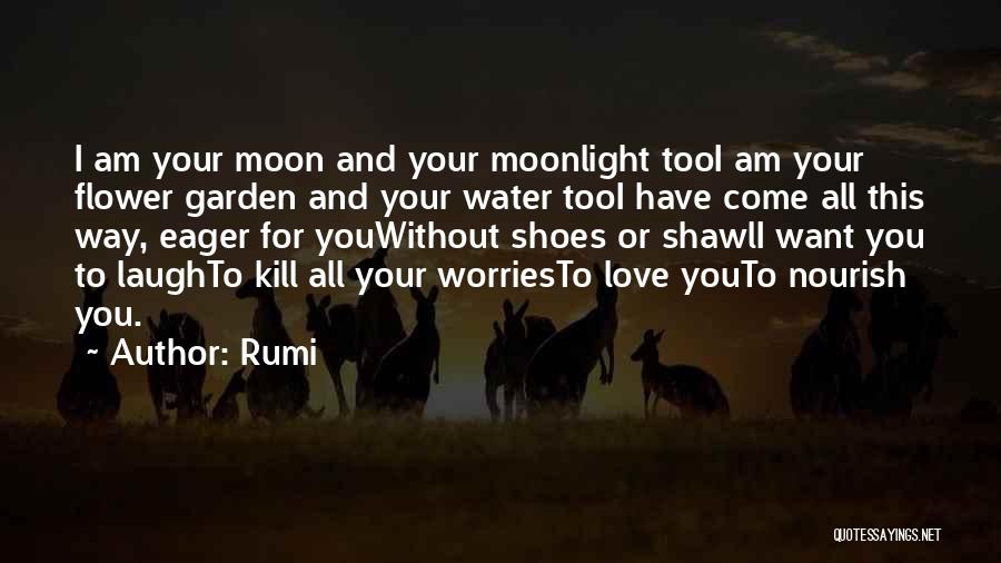 Moonlight Love Quotes By Rumi