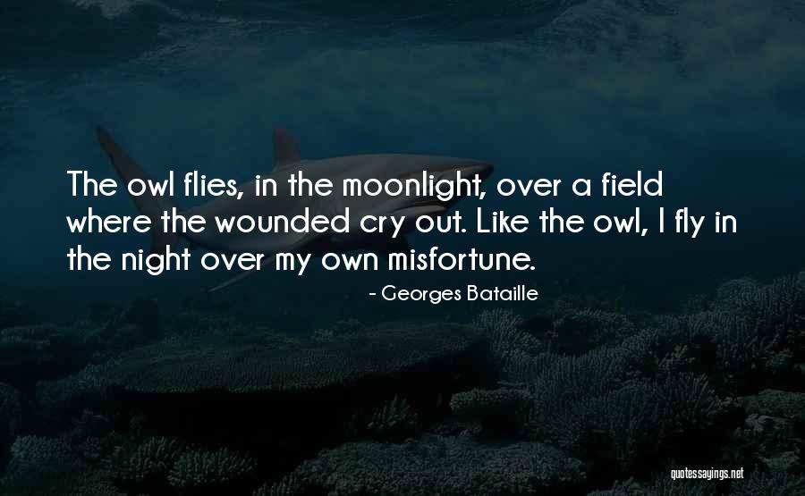 Moonlight Night Quotes By Georges Bataille Moonlight Night Quotes By Georges Bataille