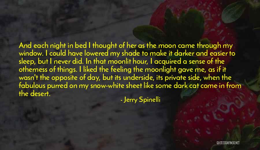 Moonlight Night Quotes By Jerry Spinelli Moonlight Night Quotes By Jerry Spinelli