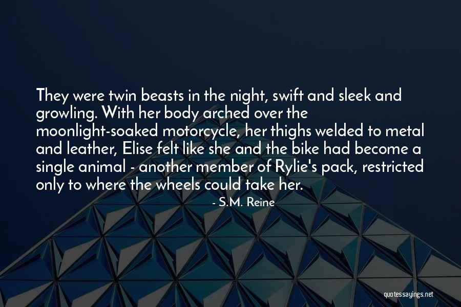 Moonlight Night Quotes By S.M. Reine Moonlight Night Quotes By S.M. Reine