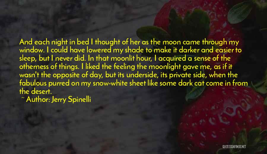 Moonlit Night Quotes By Jerry Spinelli