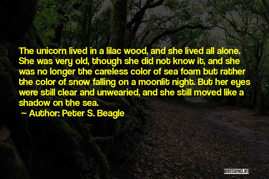 Moonlit Night Quotes By Peter S. Beagle