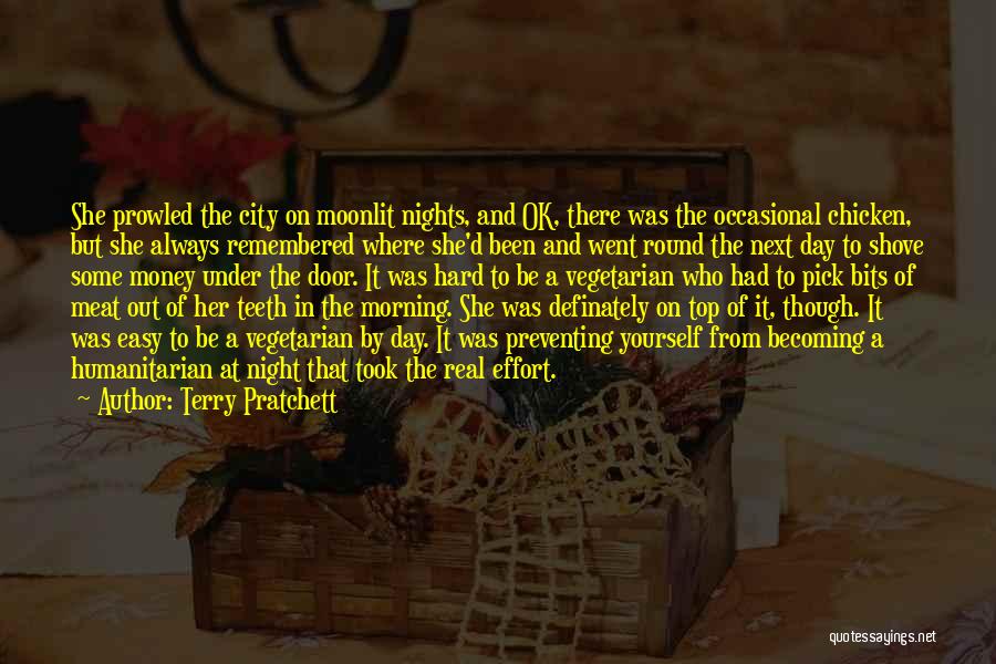 Moonlit Night Quotes By Terry Pratchett