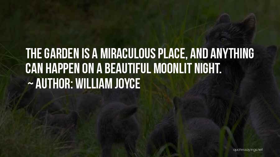 Moonlit Night Quotes By William Joyce