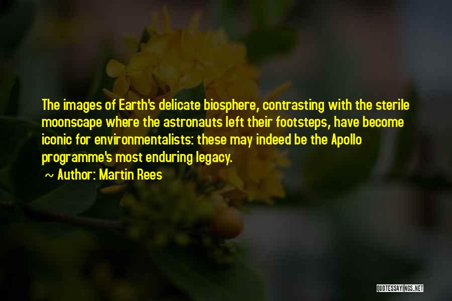 Moonscape Quotes By Martin Rees