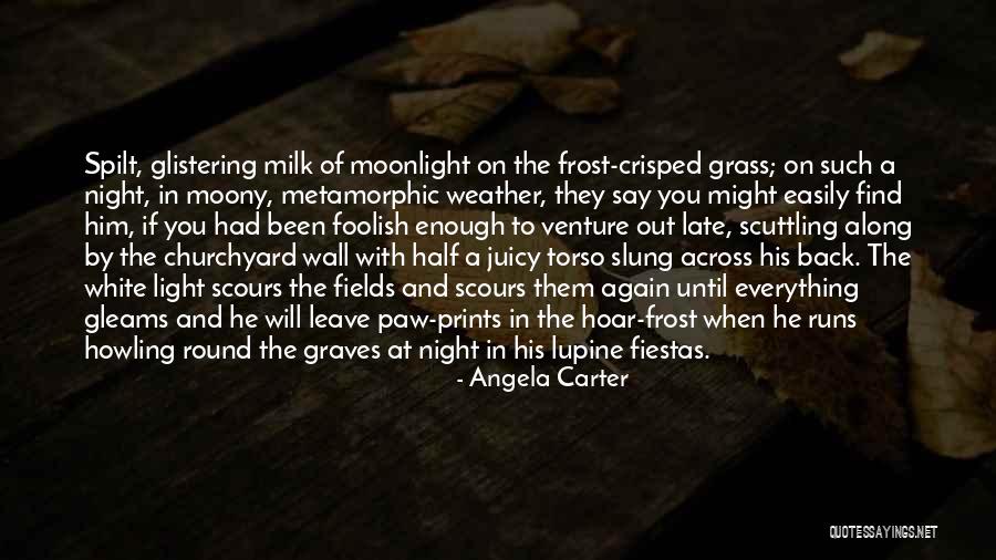 Moony Night Quotes By Angela Carter Moony Night Quotes By Angela Carter