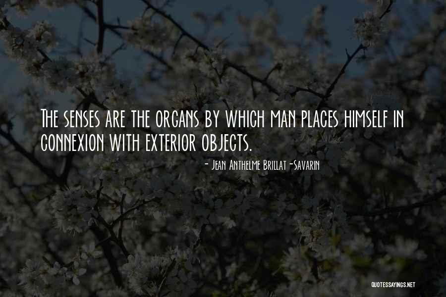 Moor House In Jane Eyre Quotes By Jean Anthelme Brillat-Savarin Moor House In Jane Eyre Quotes By Jean Anthelme Brillat-Savarin