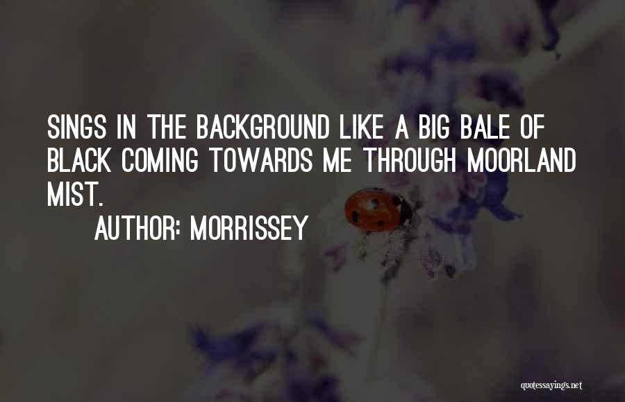 Moorland Quotes By Morrissey