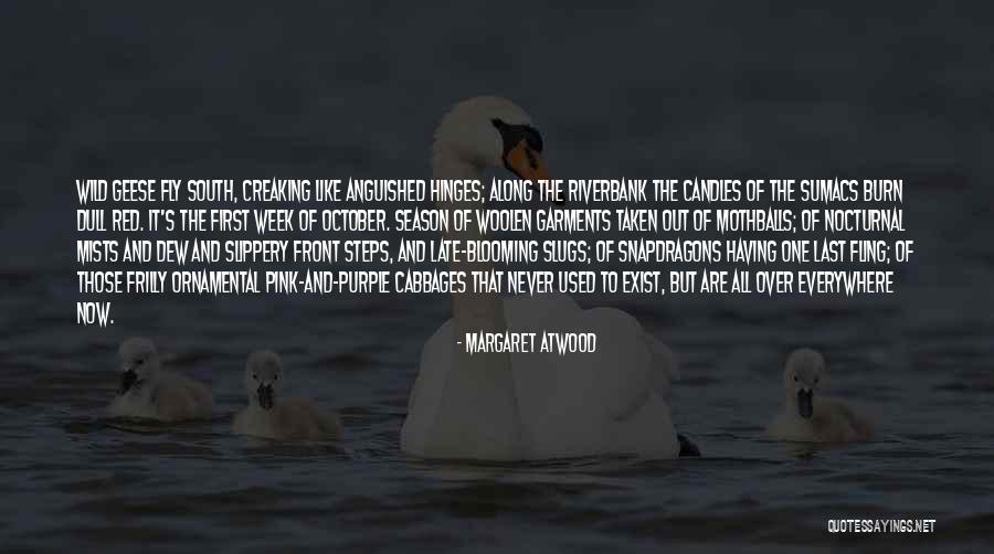 Moosa Blankets Quotes By Margaret Atwood Moosa Blankets Quotes By Margaret Atwood