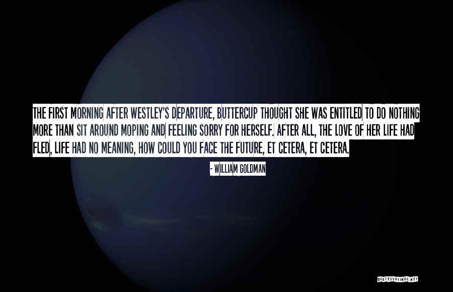 Moping Around Quotes By William Goldman Moping Around Quotes By William Goldman