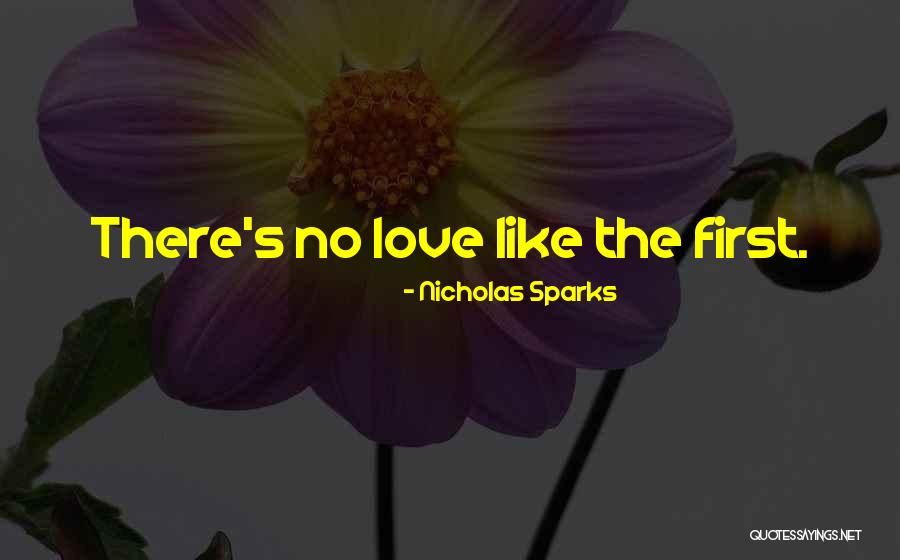 Mops And Buckets Quotes By Nicholas Sparks Mops And Buckets Quotes By Nicholas Sparks