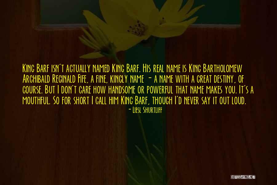 Morador Dog Quotes By Liesl Shurtliff Morador Dog Quotes By Liesl Shurtliff