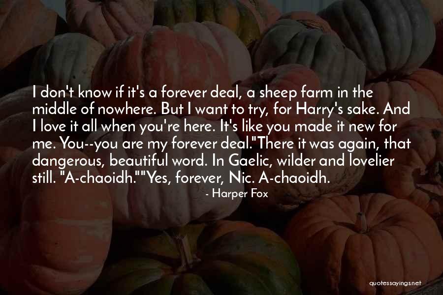 Morah Shifra Quotes By Harper Fox Morah Shifra Quotes By Harper Fox