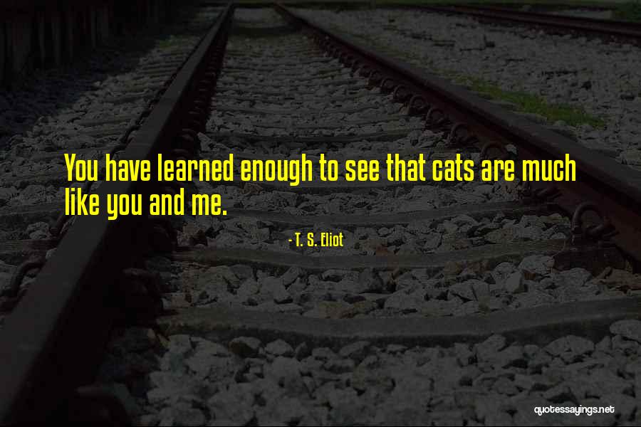 Morais Twitch Quotes By T. S. Eliot Morais Twitch Quotes By T. S. Eliot
