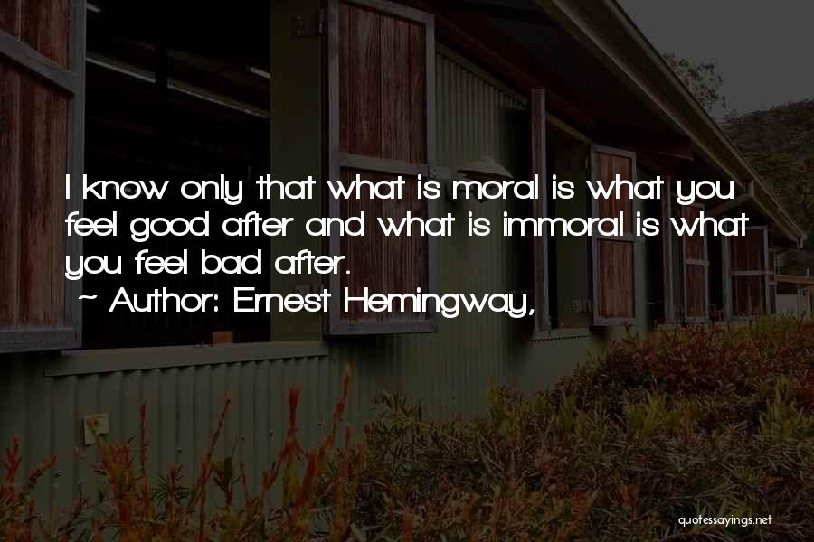 Moral And Immoral Quotes By Ernest Hemingway,