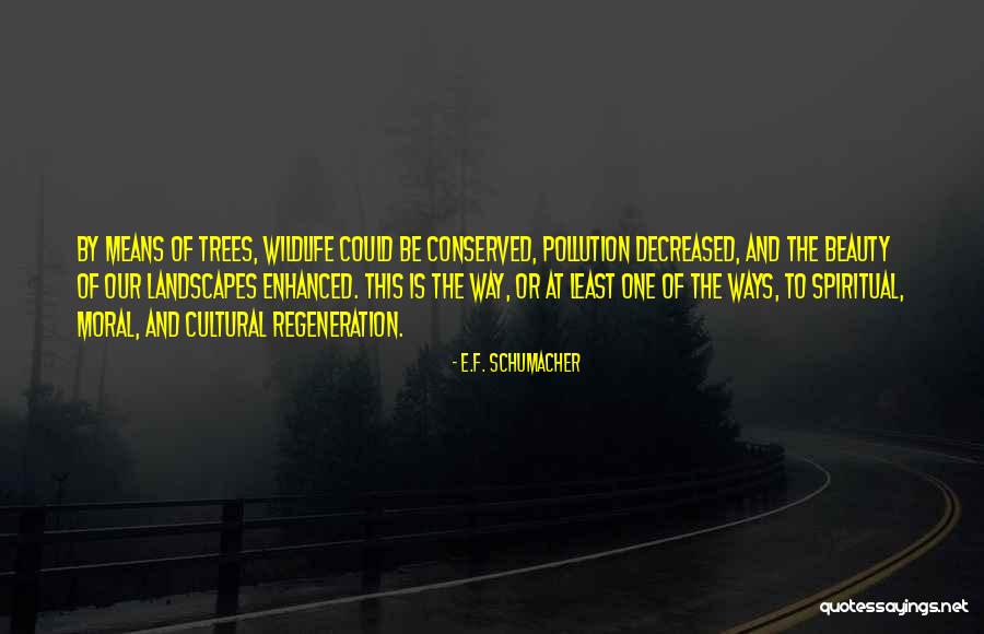 Moral Beauty Quotes By E.F. Schumacher Moral Beauty Quotes By E.F. Schumacher