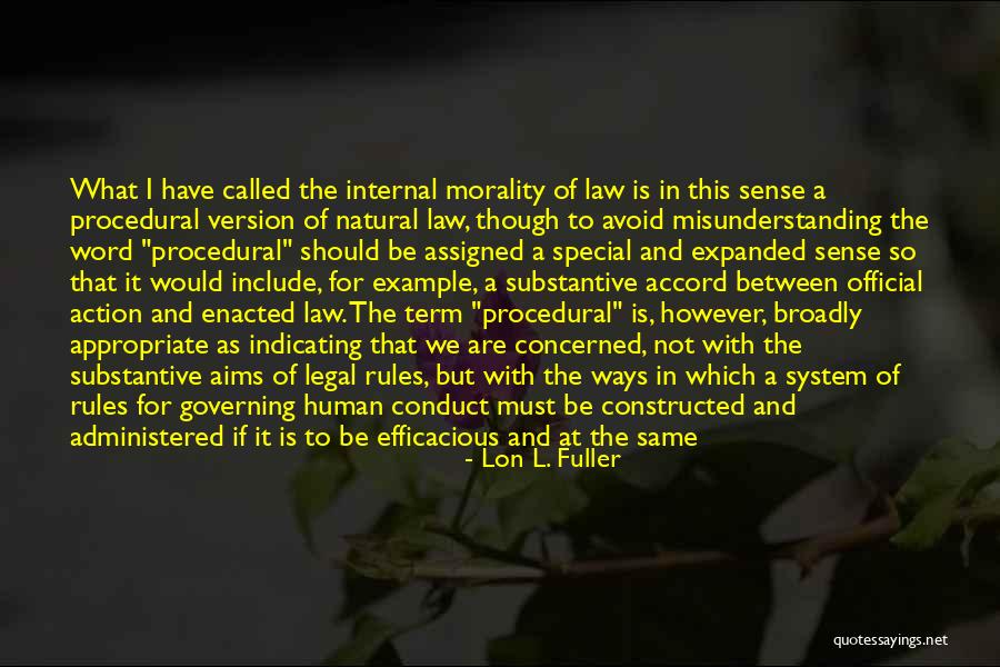 Morality As A System Quotes By Lon L. Fuller
