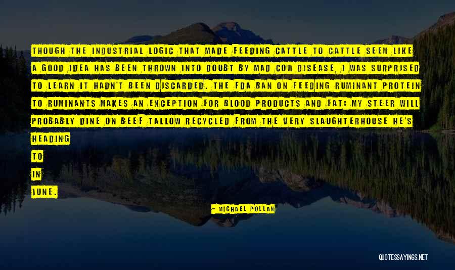 Morality In Huckleberry Finn Quotes By Michael Pollan Morality In Huckleberry Finn Quotes By Michael Pollan