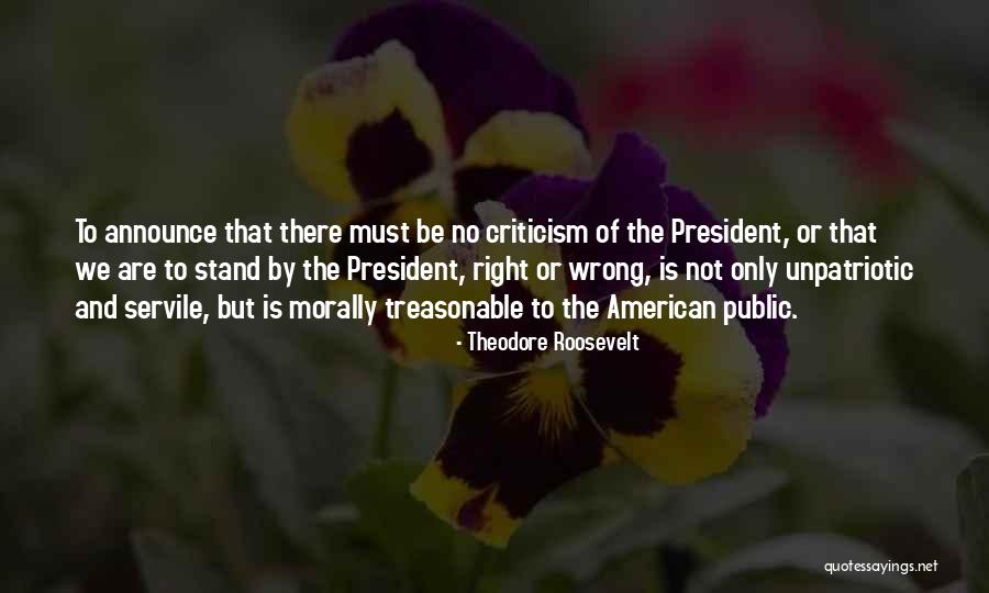 Morally Wrong Quotes By Theodore Roosevelt