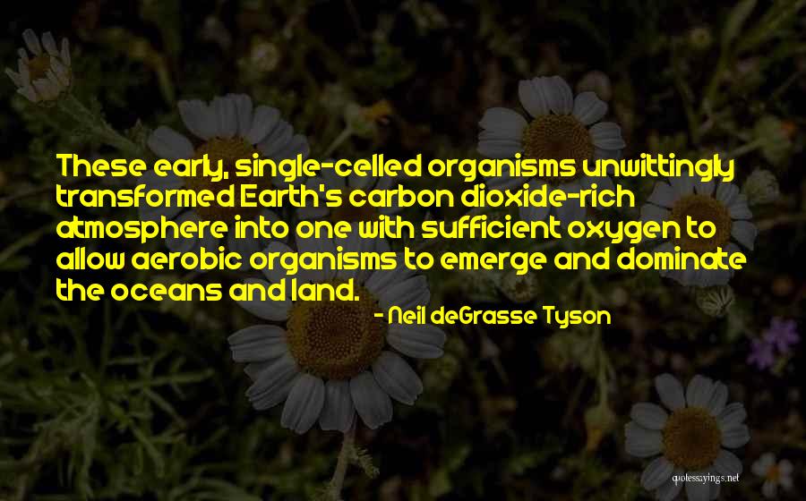 Morana Movie Quotes By Neil DeGrasse Tyson Morana Movie Quotes By Neil DeGrasse Tyson