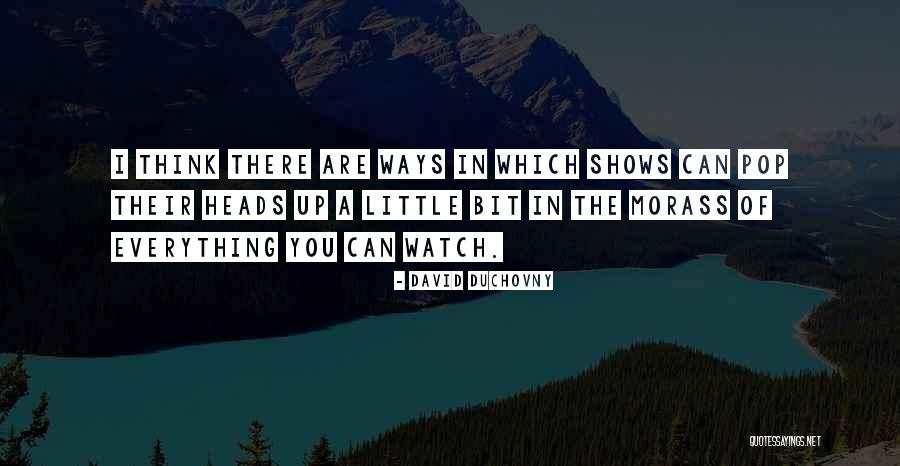 Morass Quotes By David Duchovny Morass Quotes By David Duchovny