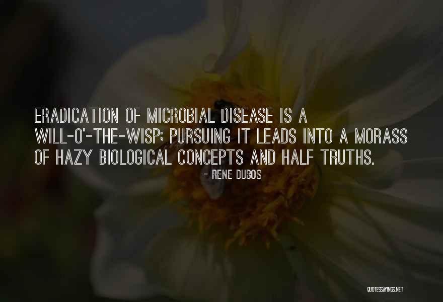 Morass Quotes By Rene Dubos Morass Quotes By Rene Dubos
