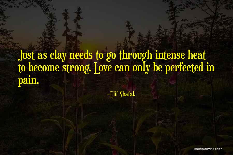 Morbus Sudeck Quotes By Elif Shafak Morbus Sudeck Quotes By Elif Shafak