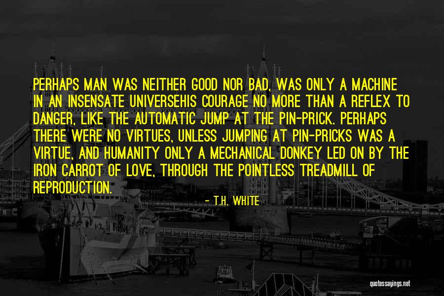 Morcellation Quotes By T.H. White Morcellation Quotes By T.H. White