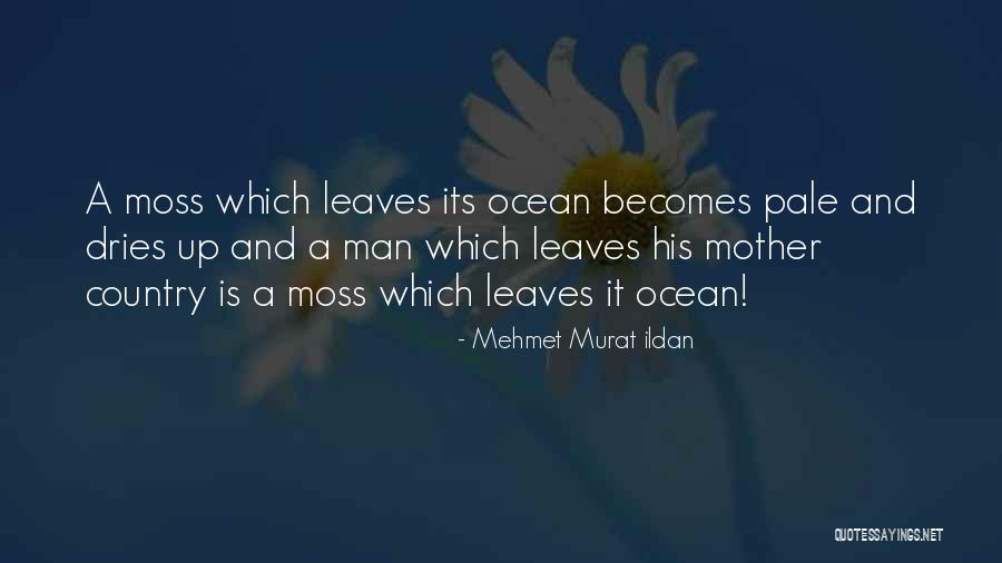 Mordiscos Quotes By Mehmet Murat Ildan Mordiscos Quotes By Mehmet Murat Ildan