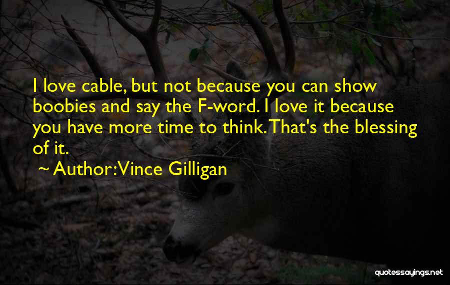 More Blessing Quotes By Vince Gilligan